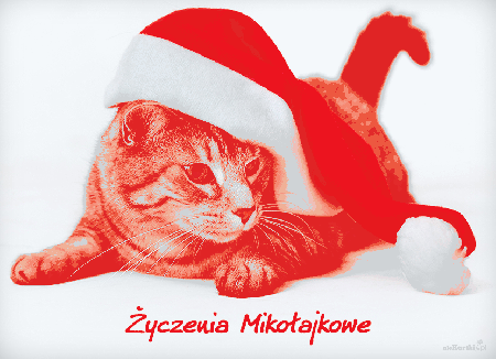 Kartka ze śmiesznym kotem w czapce Mikołaja i życzeniami